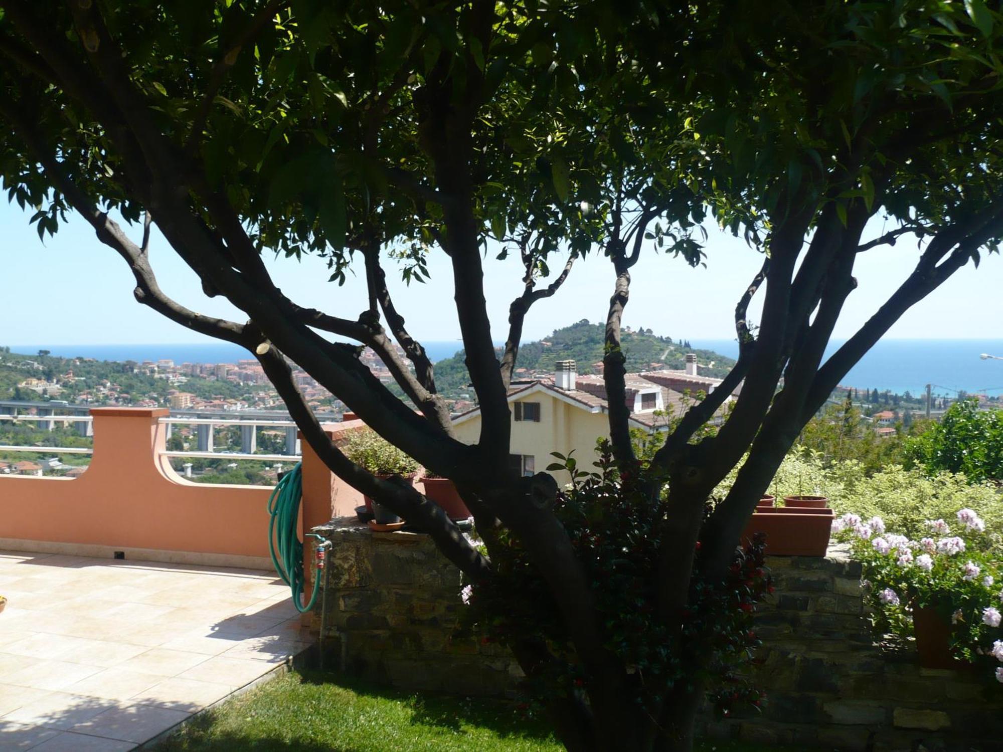 Azienda Agrituristica Villa Arianna Imperia Kültér fotó