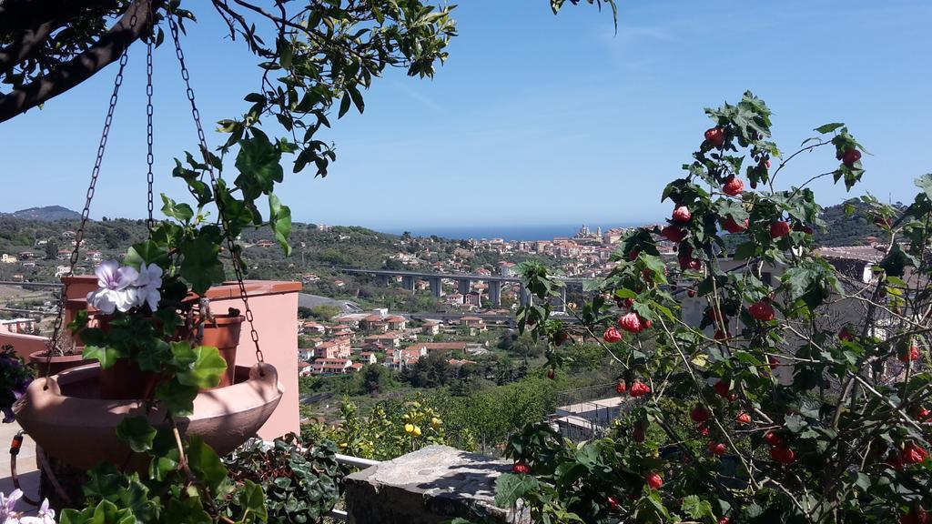 Azienda Agrituristica Villa Arianna Imperia Kültér fotó