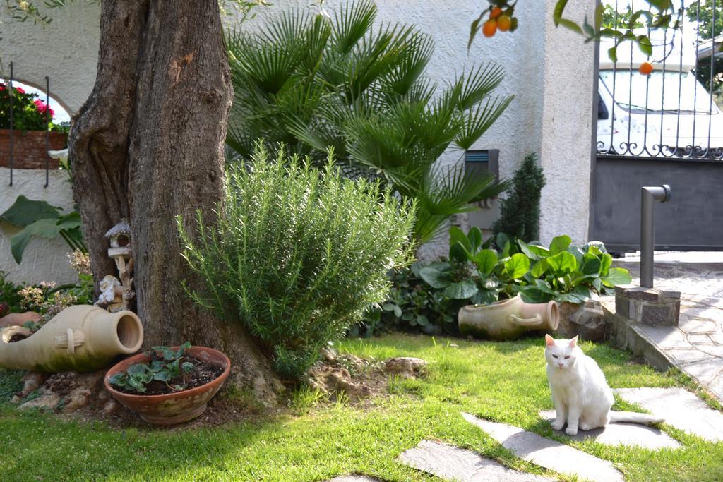 Azienda Agrituristica Villa Arianna Imperia Kültér fotó