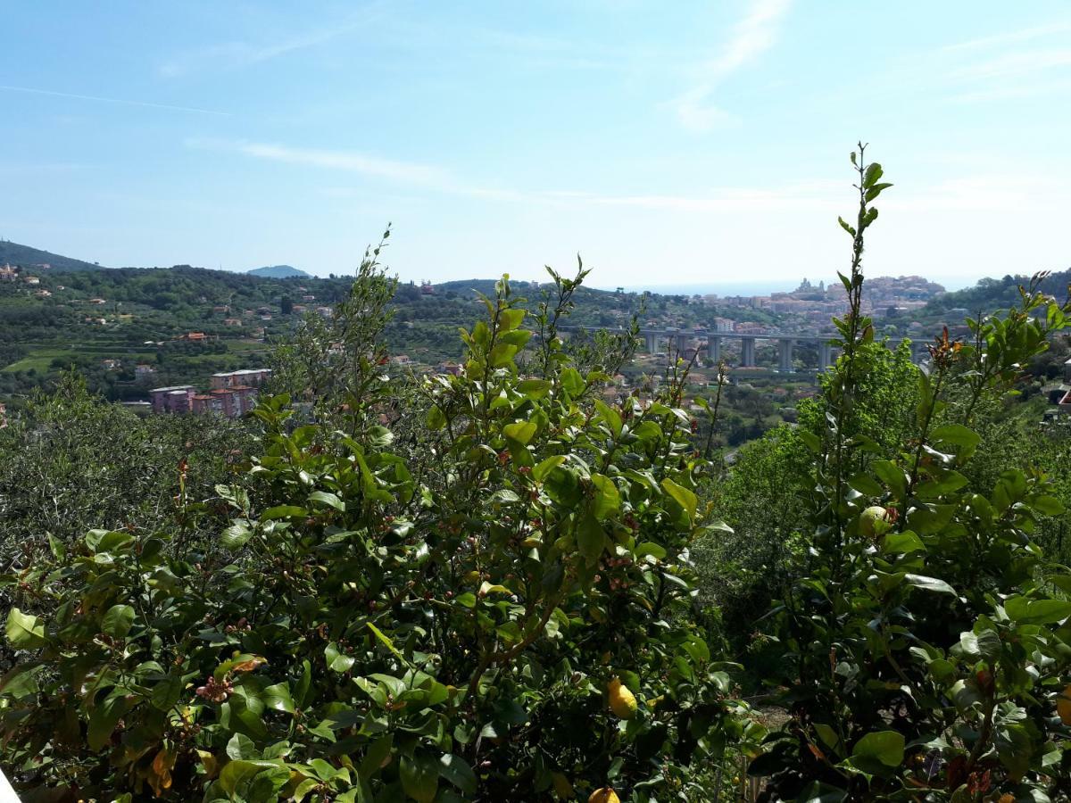 Azienda Agrituristica Villa Arianna Imperia Kültér fotó