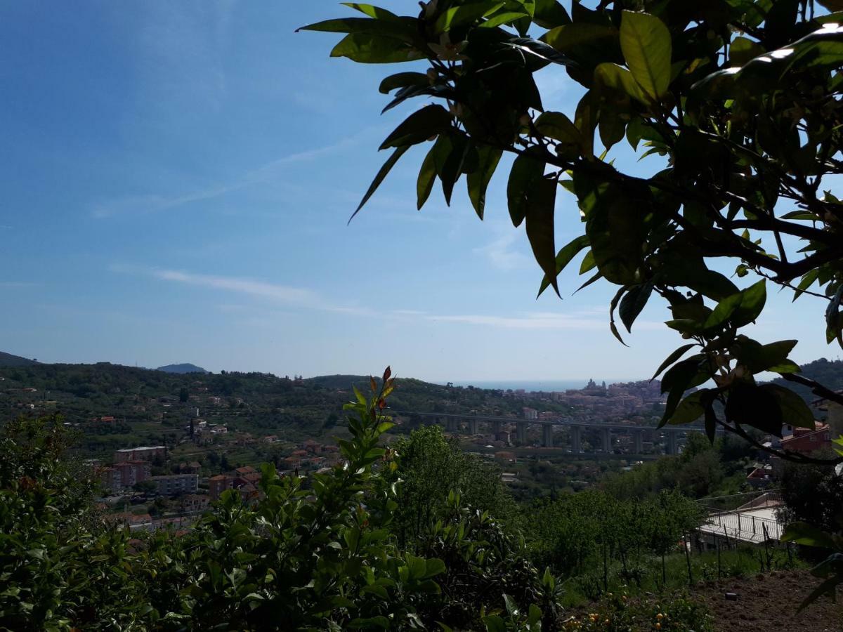 Azienda Agrituristica Villa Arianna Imperia Kültér fotó